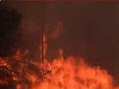 Post year 2020, month of November turns ugly for the world | ABP Special