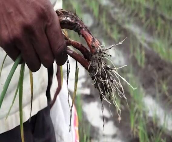 TOP 50 | 50 महत्त्वाच्या बातम्यांचा वेगवान आढावा | सुपरफास्ट बातम्या | 21 नोव्हेंबर 2020