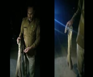 रायबरेली में घर में निकला अजगर, लोगों में हड़कंप | Khabrein Tabadtod 