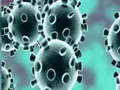 Night curfew in parts of Madhya Pradesh amid rising cases of Covid 