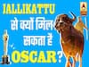 Jallikattu: कहानी उस मलयालम फिल्म की जो भारत को दिलवा सकती है Oscar!
