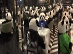 कोरोना नियमों का अनूठा विरोध, Restaurant में खाली कुर्सी पर रखे Panda 