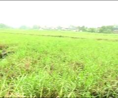 Kanjurmarg Metro Car Shed | कांजूरमार्ग मेट्रो कारशेडच्या जागेवर केंद्राचा दावा, राज्य सरकारला नोटीस