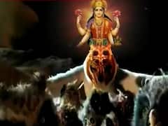 Diwali Special : उल्लू की आंख से वशीकरण का खेल | Sansani