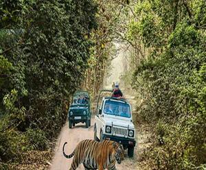 Corbett Park के लिए ऑनलाइन बुकिंग शुरू | Pahad Prabhat | ABP Ganga
