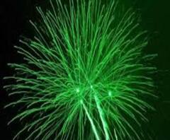 বেলুড়: বাজি ফাটানো রুখতে গিয়ে আক্রান্ত ৭ পুলিশকর্মী! গ্রেফতার আবাসনের ৫ বাসিন্দা 