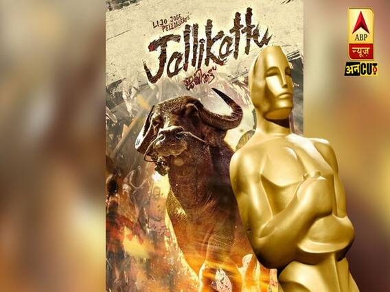 भारत की तरफ से आधिकारिक तौर पर जगह बनाने वाली मलयालम फिल्म जलीकट्टू जीत पाएगी ऑस्कर पुरस्कार ? l ABP Uncut