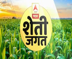 शेती जगत | शेती क्षेत्रातील घडामोडींचा वेगवान आढावा | काय आहे शेतीची परिस्थिती? 21 नोव्हेंबर 2020