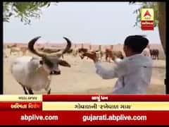 અસ્મિતા વિશેષઃ સાચું ધન