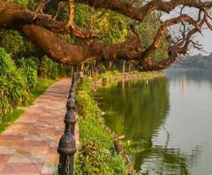 রবীন্দ্র সরোবর, সুভাষ সরোবরে নিষিদ্ধ হোক ছটপুজো: কলকাতা হাইকোর্ট