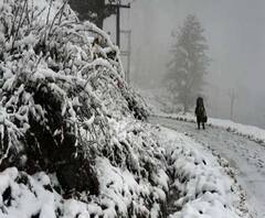 Weather Update: কাশ্মীরে মরশুমের প্রথম তুষারপাত, পারদপতন রাজ্যেও