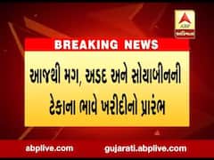 આજથી ટેકાના ભાવે મગ, અડદ અને સોયાબીનની ખરીદીનો પ્રારંભ, જાણો ક્યાં સુધી ચાલશે?