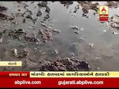 મોરબી: કેનાલનું પાણી હળવદના રણમાં ઘૂસતા અગરિયાઓ પરેશાન