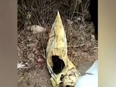 UP: बोरियों में रखकर नवजात बच्ची को सड़क किनारे फेंका गया