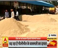 बांस और बासुरी के बाद अब पीलीभीत का बासमती भी हुआ मशहूर, 13 देशों को निर्यात | ABP Ganga 