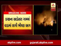કચ્છના આડેસરા ગામમાં વાડામાં લાગી ભીષણ આગ, જુઓ વીડિયો 