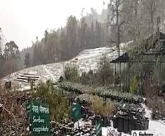 मुनस्यारी में हुई सीजन की पहली बर्फबारी