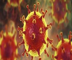 এখনও সংক্রমণের শীর্ষে কলকাতাই, একদিনে করোনা আক্রান্ত ৩,৯০৭