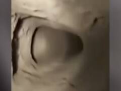 Nagrota encounter: All about Duara-e-Khas commando training