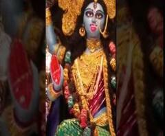 ৭টায় বাংলা: জানবাজার সম্মিলিত সমিতিতে দশ মহাবিদ্যার আরাধনা, আমহার্স্ট স্ট্রিটের যুবশ্রী কালীপুজো, সঙ্গে অন্য খবর