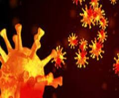 করোনা আরও ভয়াবহ! গুজরাত-মধ্যপ্রদেশের একাংশে ফিরল কার্ফু