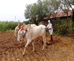 कृषी पंप वीज बिलाची थकबाकी भरल्यास बिलात 50% सूट; ऊर्जा खात्याचा शेतकऱ्यांना दिलासा देणारा निर्णय