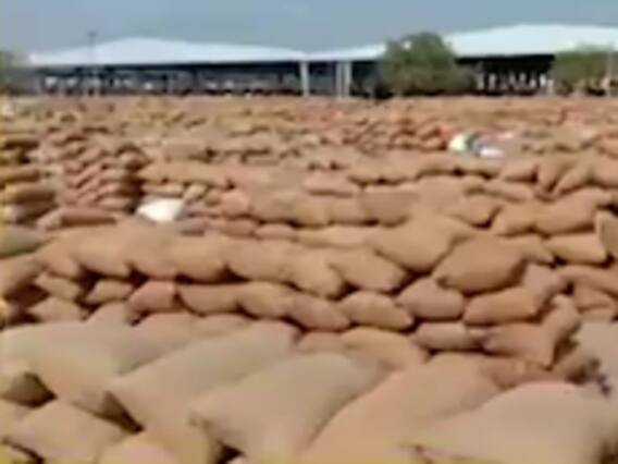 રાજકોટના બેડી માર્કેટયાર્ડમાં મગફળીની મબલખ યાવક