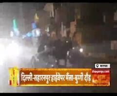 Baghpat में नेशनल हाइवे पर भैंसा बुग्गी दौड़ का आयोजन, देखें Video। Uttar Pradesh News