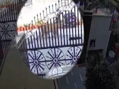 Ghaziabad के पॉश इलाके में घुसा तेंदुआ