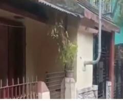 Dead man alive: শ্রাদ্ধের আগে বাড়ি ফিরলেন ‘মৃত’ ব্যক্তি, বিরাটির ঘটনায় চাঞ্চল্য