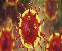 করোনা: দেশে বাড়ল দৈনিক সংক্রমণ-মৃত্যু, সুস্থতাও