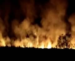 Yavatmal | वेणी येथे विद्युत तारांच्या शॉर्ट सर्किटमुळे सात एकर शेतातील ऊस जळून खाक