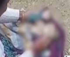 देवभूमि में मर गई ममता, खेत में पड़ा मिला नवजात। ABP GANGA। Khatima