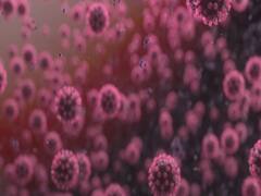 Home Ministry issues new guidelines for COVID | Audio Bulletin