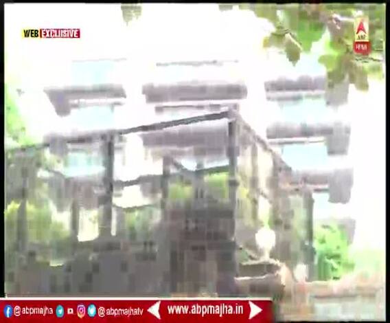 WEB EXCLUSIVE | Shah Rukh Khan turns 55 | किंग खान शाहरुखच्या वाढदिवशी एबीपी माझा 'मन्नत' बाहेर