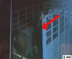 CCTV में कैद हुए भैंस चुराने का वीडियो,पुलिस CCTV फुटेज की मदद से तलाश में जुटी