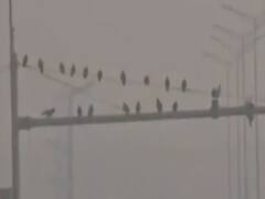 मेडिकल जर्नल Lancet का दावा, दिल्ली की हवा केवल दिल या फेफड़े नहीं दिमाग के लिए भी है हानिकारक