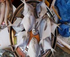 Rural News | माझं गाव माझा जिल्हा | राज्याच्या कानाकोपऱ्यातील बातम्यांचा आढावा | 02 नोव्हेंबर 2020