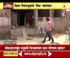 Madhubani Painting | मधुबनी चित्रकारांचं मूळ स्थान जितवारपूर, बिहार निवडणुकीचं 'चित्र' मांडणारा रिपोर्ट