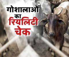 कितनी बेहाल है आपके शहर की गोशाला ?
