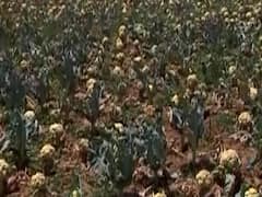 When will farmers be paid the correct amount for their hard work? | Ghanti Bajao