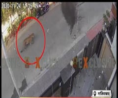 Ghaziabad में सड़क पर घूमते दिखा तेंदुआ, लोगों में दहशत का माहौल