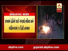 રાજ્યમાં ઠંડીનો પારો ગગડ્યો, નલિયા અને ગાંધીનગરમાં 13 ડિગ્રી તાપમાન 