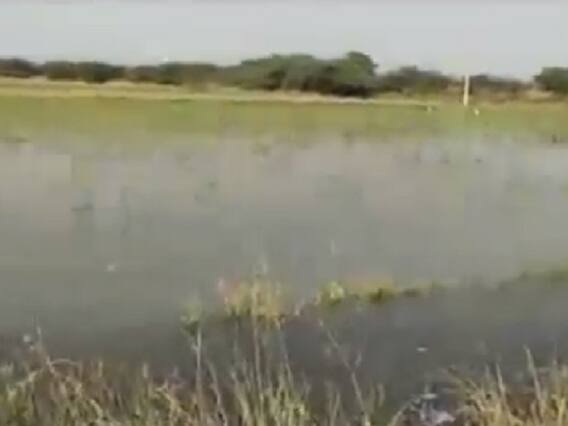 મહેસાણાઃ બહુચરાજીના સુરજ ગામે કેનાલનું પાણી ખેતરોમાં છોડી દેતા પાક બરબાદ 