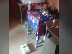 MP Bypolls: भिंड में उपचुनाव के दौरान EVM तोड़ने की खबर, BJP प्रत्याशी के भतीजे पर आरोप