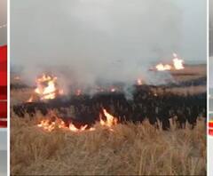 पराली जलाने को लेकर Yogi सरकार सख्त, 35 DM को दिया नोटिस| ABPGanga 