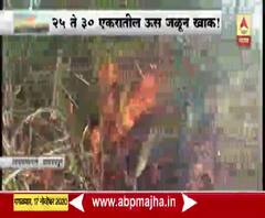 Kolhapur | कोल्हापूरमधील हातकणंगले येथे 25-30 एकरातील ऊसाला आग,आगीमुळे शेतकऱ्यांचं 50 लाखांचं नुकसान