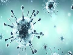 India records 46,232 Covid-19 cases in past 24 hours 