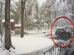 अमेरिका से लेकर चीन तक बर्फबारी की मार