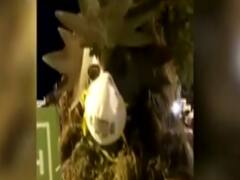 US Election 2020: अमेरिकी लोकतंत्र की अलग-अलग तस्वीर